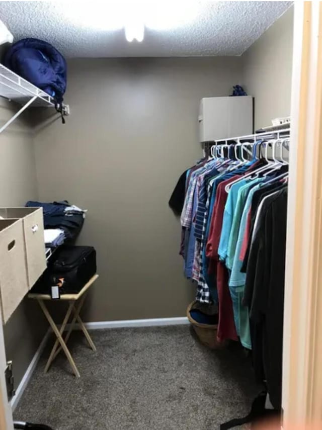 4019 Jodis Way, Somerset, KY 42503 - walk in closet featuring carpet flooring