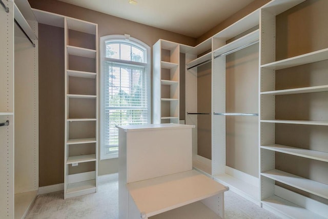 2433 San Milano Pl, Lexington, KY 40509 - spacious closet with light colored carpet
