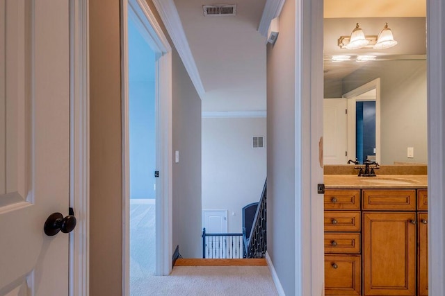 2433 San Milano Pl, Lexington, KY 40509 - bathroom with vanity, ornamental molding, and baseboards