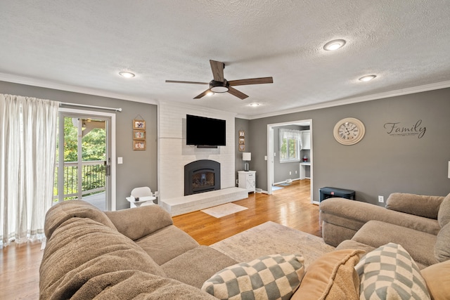 105 Wellington Cv, Danville, KY 40422 - living room with ornamental molding, light wood-style flooring, a ceiling fan, a textured ceiling, and a large fireplace