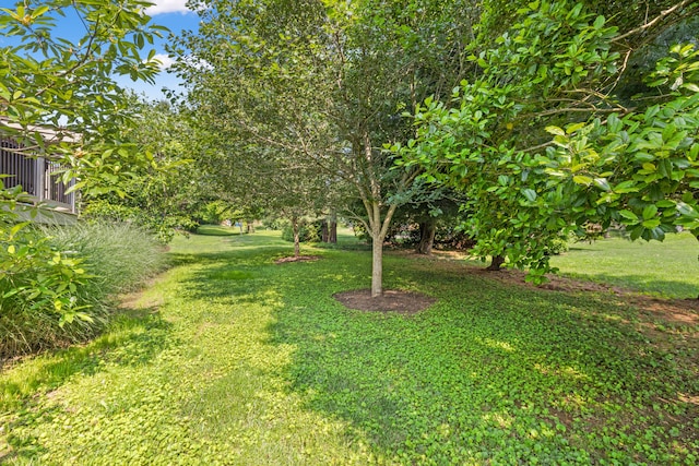 105 Wellington Cv, Danville, KY 40422 - view of grassy yard