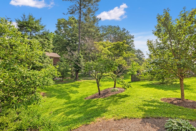 105 Wellington Cv, Danville, KY 40422 - view of yard
