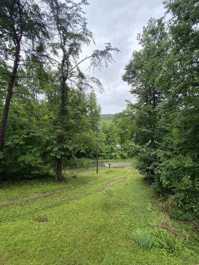 353 Stephens Dr, Somerset, KY 42501 - view of yard featuring a view of trees