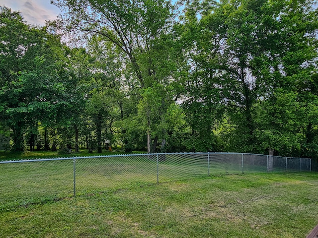 186 Amber Ln, Hustonville, KY 40437 - view of yard