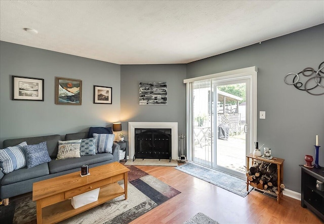 3471 Pimlico Pkwy Unit B, Lexington, KY 40517 - living room featuring wood finished floors and a glass covered fireplace
