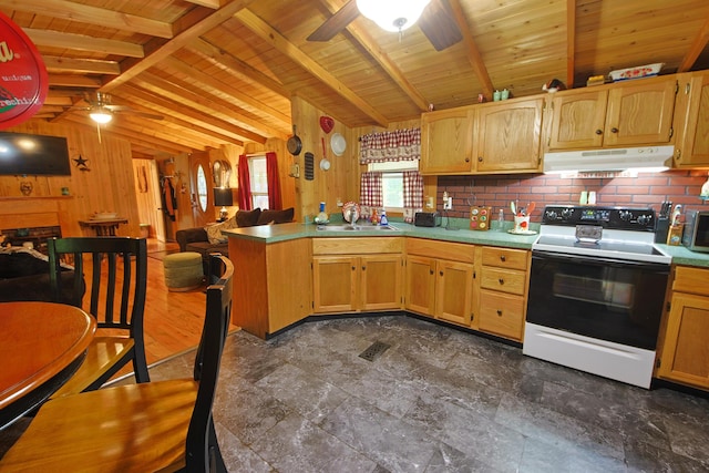 2858 Ford Hampton Rd, Winchester, KY 40391 - kitchen with under cabinet range hood, range with electric stovetop, ceiling fan, a sink, and a peninsula