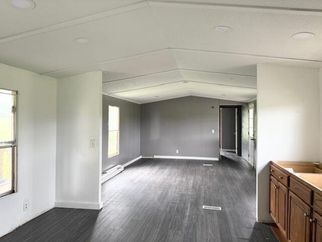 1293 Walnut Grove Rd, Carlisle, KY 40311 - spare room featuring lofted ceiling, dark wood-type flooring, baseboards, and a baseboard radiator