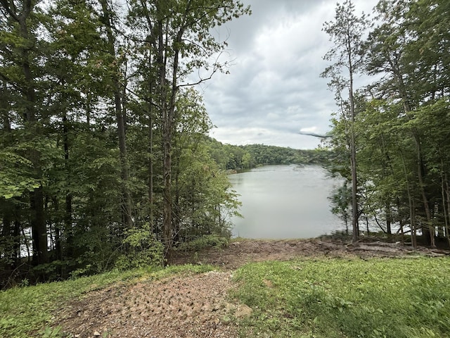 1090 Laurel Cove Rd, London, KY 40744 - water view featuring a forest