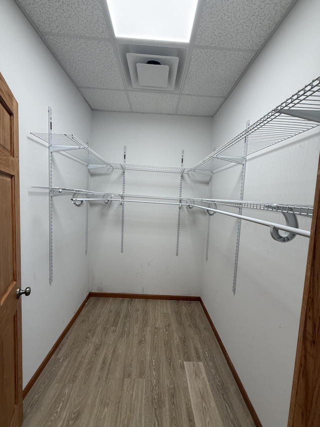 1090 Laurel Cove Rd, London, KY 40744 - walk in closet with a drop ceiling and light wood finished floors