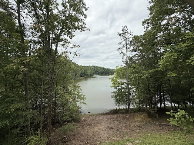 1090 Laurel Cove Rd, London, KY 40744 - water view featuring a heavily wooded area