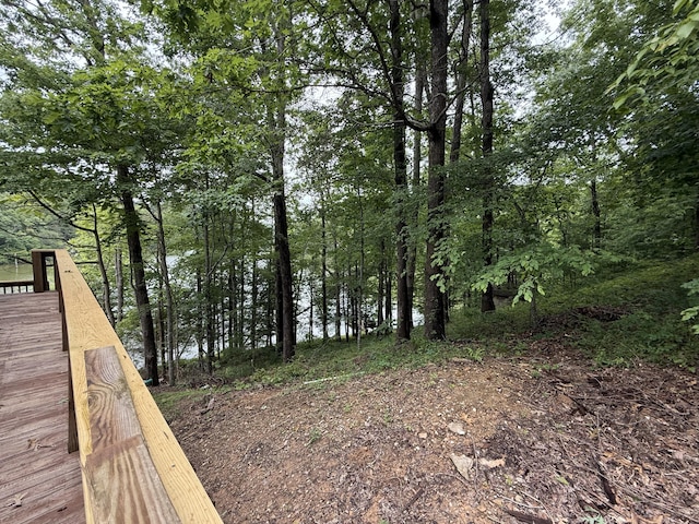 1090 Laurel Cove Rd, London, KY 40744 - view of yard