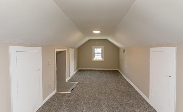 100 Mcdonald St, Nicholasville, KY 40356 - bonus room featuring carpet, lofted ceiling, and baseboards