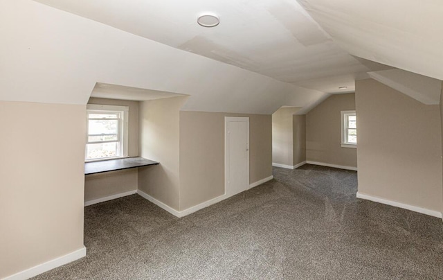 100 Mcdonald St, Nicholasville, KY 40356 - bonus room featuring carpet floors, vaulted ceiling, and baseboards