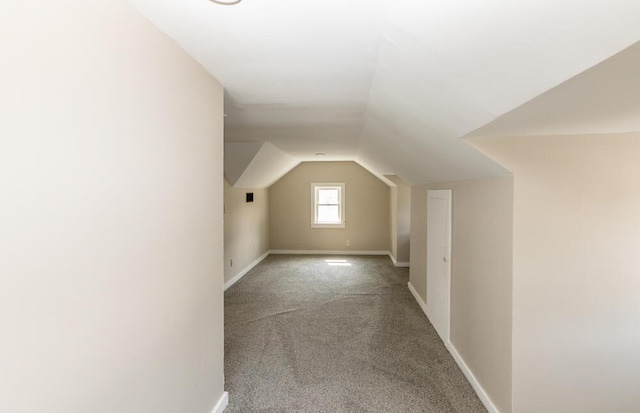 100 Mcdonald St, Nicholasville, KY 40356 - bonus room with carpet flooring, lofted ceiling, and baseboards