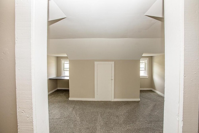 100 Mcdonald St, Nicholasville, KY 40356 - bonus room featuring carpet floors, baseboards, and healthy amount of natural light
