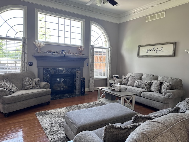 1404 Clubhouse Ln, Mt Sterling, KY 40353 - living area with a ceiling fan, wood finished floors, plenty of natural light, crown molding, and a high end fireplace