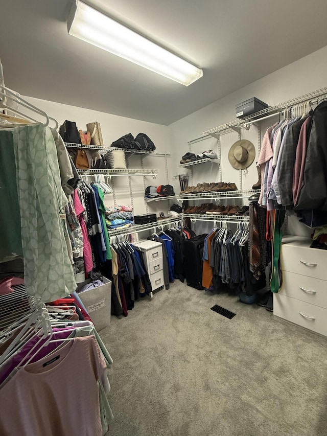 1404 Clubhouse Ln, Mt Sterling, KY 40353 - walk in closet featuring carpet floors