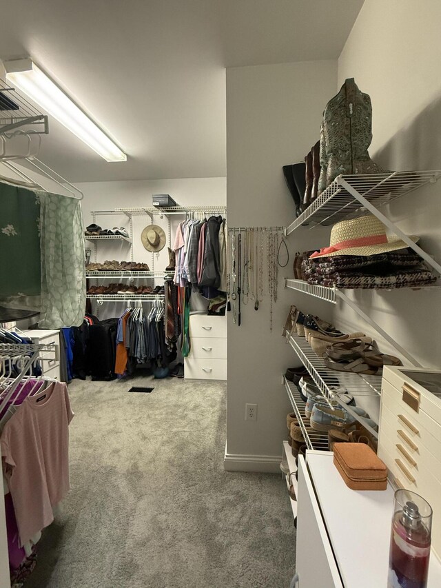 1404 Clubhouse Ln, Mt Sterling, KY 40353 - walk in closet with carpet