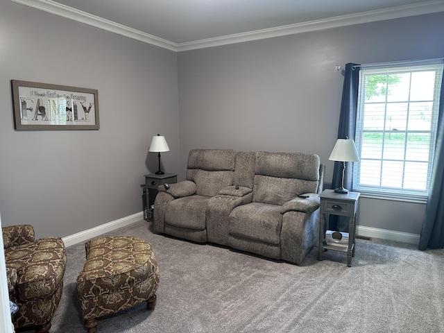 1404 Clubhouse Ln, Mt Sterling, KY 40353 - carpeted living area with baseboards and ornamental molding