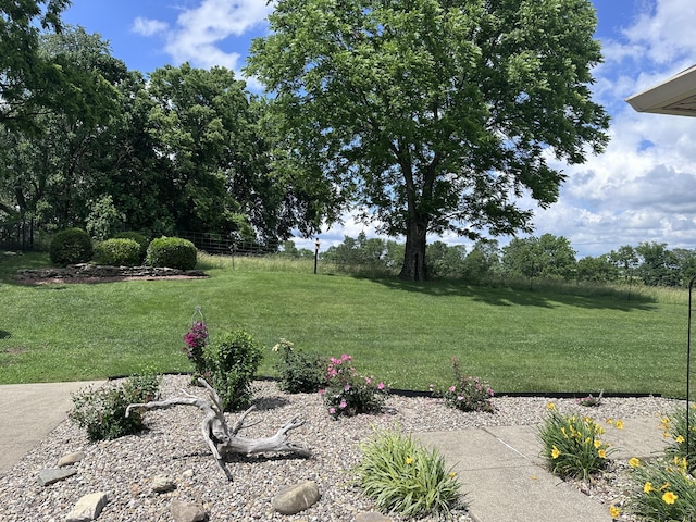 1404 Clubhouse Ln, Mt Sterling, KY 40353 - view of grassy yard
