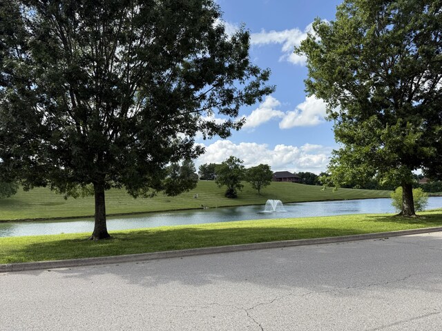 1404 Clubhouse Ln, Mt Sterling, KY 40353 - water view