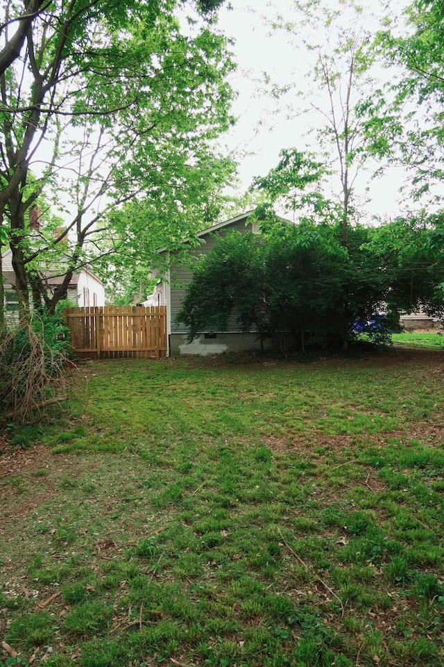 557 Chestnut St, Lexington, KY 40508 - view of yard
