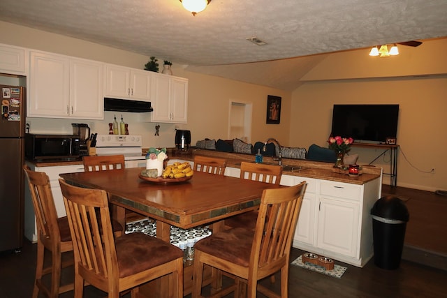 557 Chestnut St, Lexington, KY 40508 - dining room with dark wood-style floors, a textured ceiling, vaulted ceiling, and baseboards