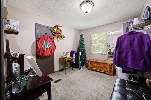 600 Tug Branch Rd, Clay City, KY 40312 - carpeted home office featuring a textured ceiling