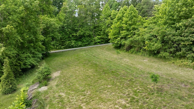 600 Tug Branch Rd, Clay City, KY 40312 - view of yard