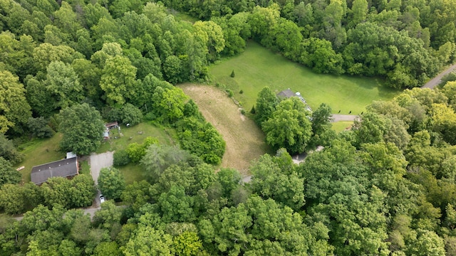 600 Tug Branch Rd, Clay City, KY 40312 - view of property location with a heavily wooded area and rural landscape