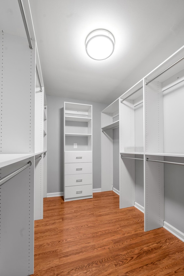 244 Chippendale Cir, Lexington, KY 40517 - spacious closet featuring wood finished floors