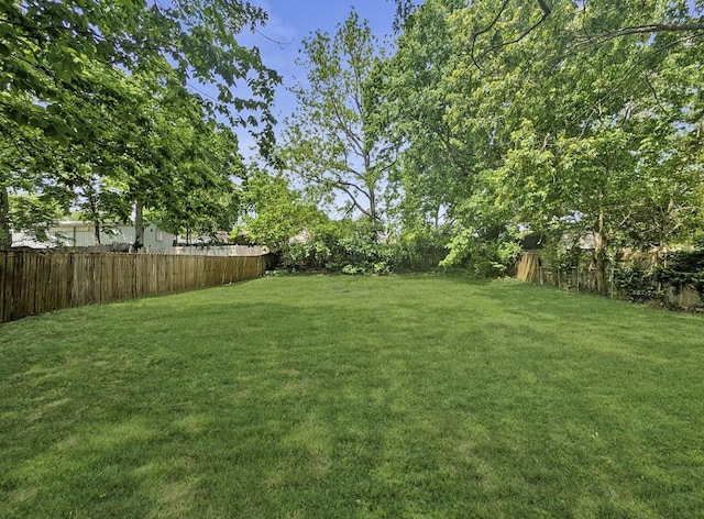 213 W Elm St, Nicholasville, KY 40356 - view of yard