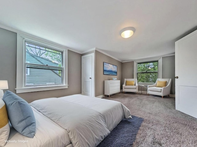 213 W Elm St, Nicholasville, KY 40356 - carpeted bedroom with crown molding