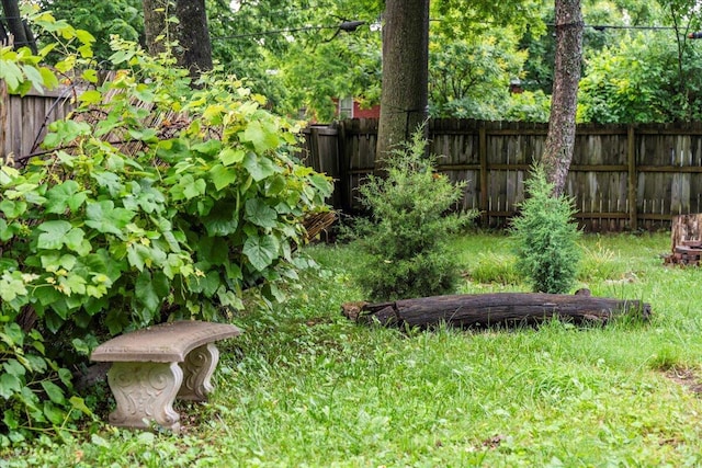 618 N Broadway, Lexington, KY 40508 - view of yard