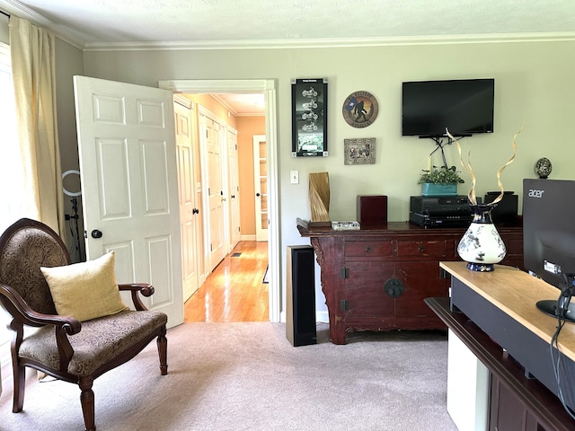 153 Pine Trail Rd, London, KY 40744 - bedroom with ornamental molding and light carpet