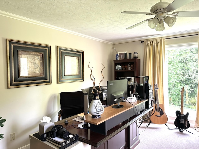 153 Pine Trail Rd, London, KY 40744 - office space with crown molding, a ceiling fan, a textured ceiling, and carpet