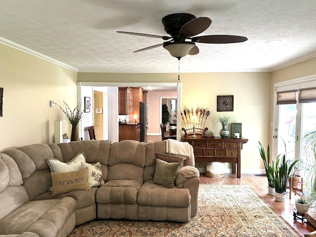 153 Pine Trail Rd, London, KY 40744 - living room with a ceiling fan, a textured ceiling, wood finished floors, and ornamental molding