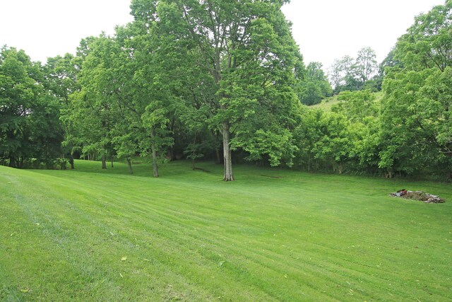 5420 Kiddville Ln, Lexington, KY 40515 - view of green lawn featuring view of wooded area