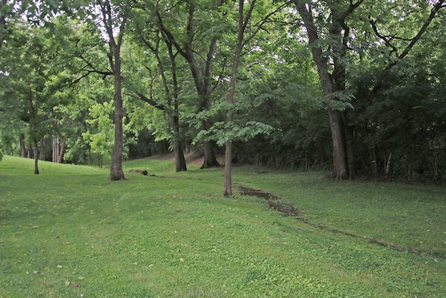 5420 Kiddville Ln, Lexington, KY 40515 - view of green lawn featuring a wooded view