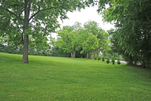 5420 Kiddville Ln, Lexington, KY 40515 - view of green lawn with view of wooded area