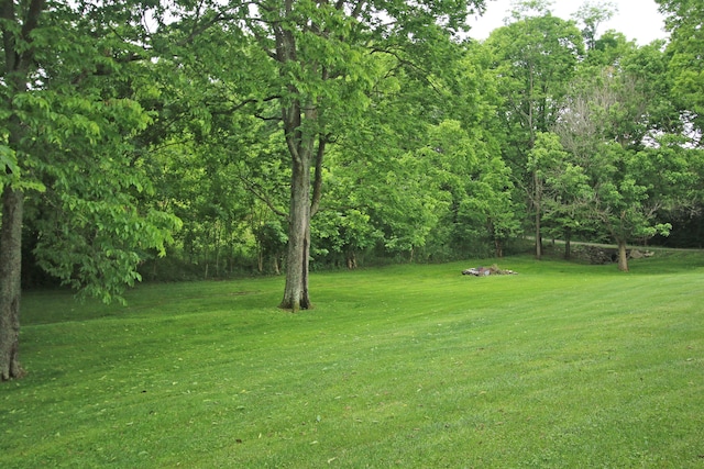 5420 Kiddville Ln, Lexington, KY 40515 - view of grassy yard