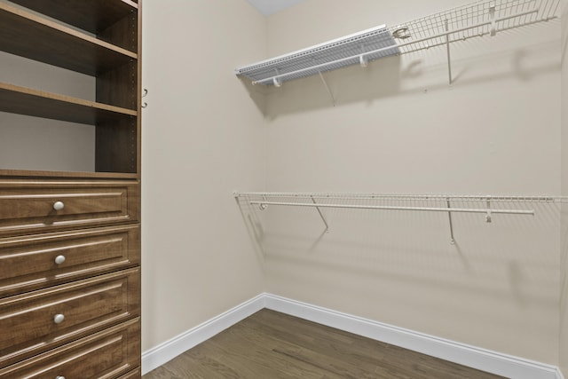 584 Southpoint Dr, Lexington, KY 40515 - walk in closet featuring dark wood-type flooring