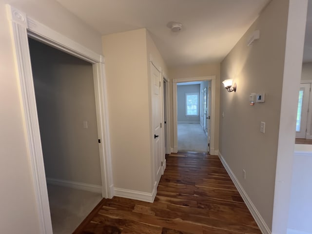 131 Betsy Ross Ln, Danville, KY 40422 - hallway with dark wood finished floors and baseboards