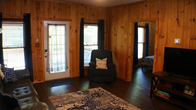 16 Hardwood Hl, Salt Lick, KY 40371 - living area with wooden walls and dark wood-style floors