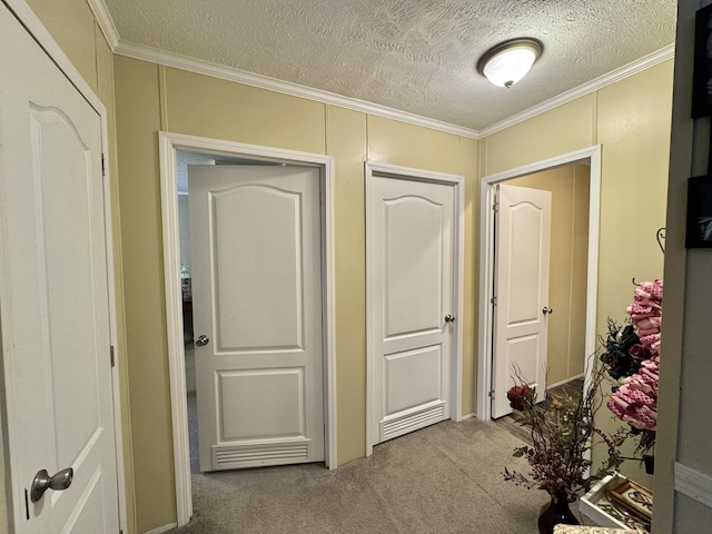 115 Wolf Creek Crossing Rd, Nancy, KY 42544 - hall with carpet floors, crown molding, and a textured ceiling