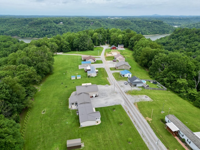 115 Wolf Creek Crossing Rd, Nancy, KY 42544 - bird's eye view of a heavily wooded area and a nearby body of water
