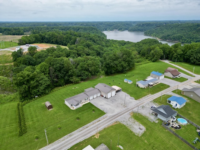115 Wolf Creek Crossing Rd, Nancy, KY 42544 - aerial view of a heavily wooded area and a large body of water
