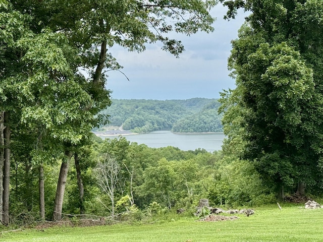 115 Wolf Creek Crossing Rd, Nancy, KY 42544 - water view with a forest