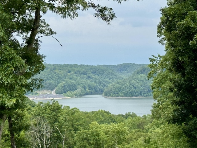 115 Wolf Creek Crossing Rd, Nancy, KY 42544 - water view featuring a forest