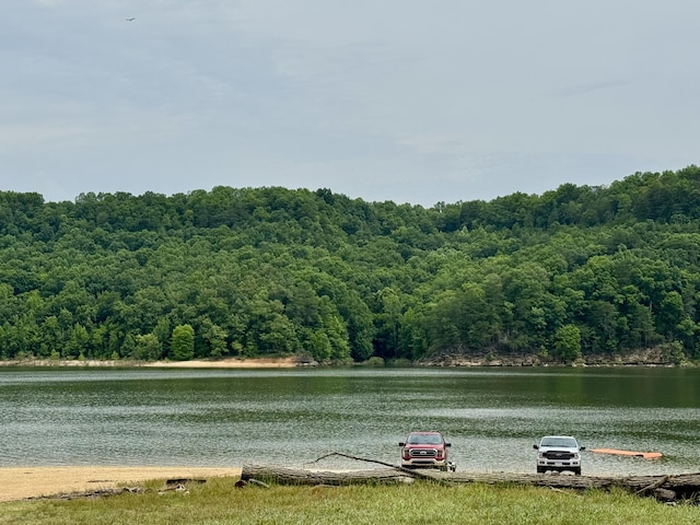 115 Wolf Creek Crossing Rd, Nancy, KY 42544 - water view with a heavily wooded area